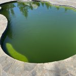 Green to clean in Elk Grove
