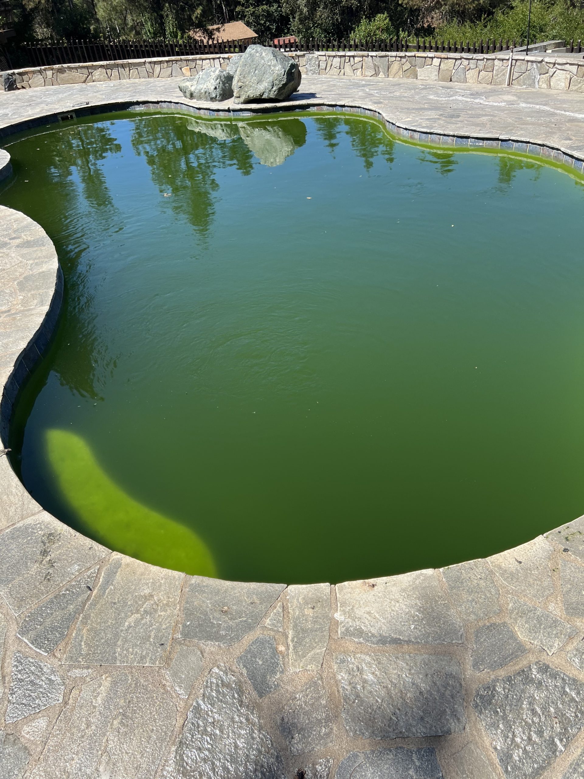 Green To Clean in Elk Grove