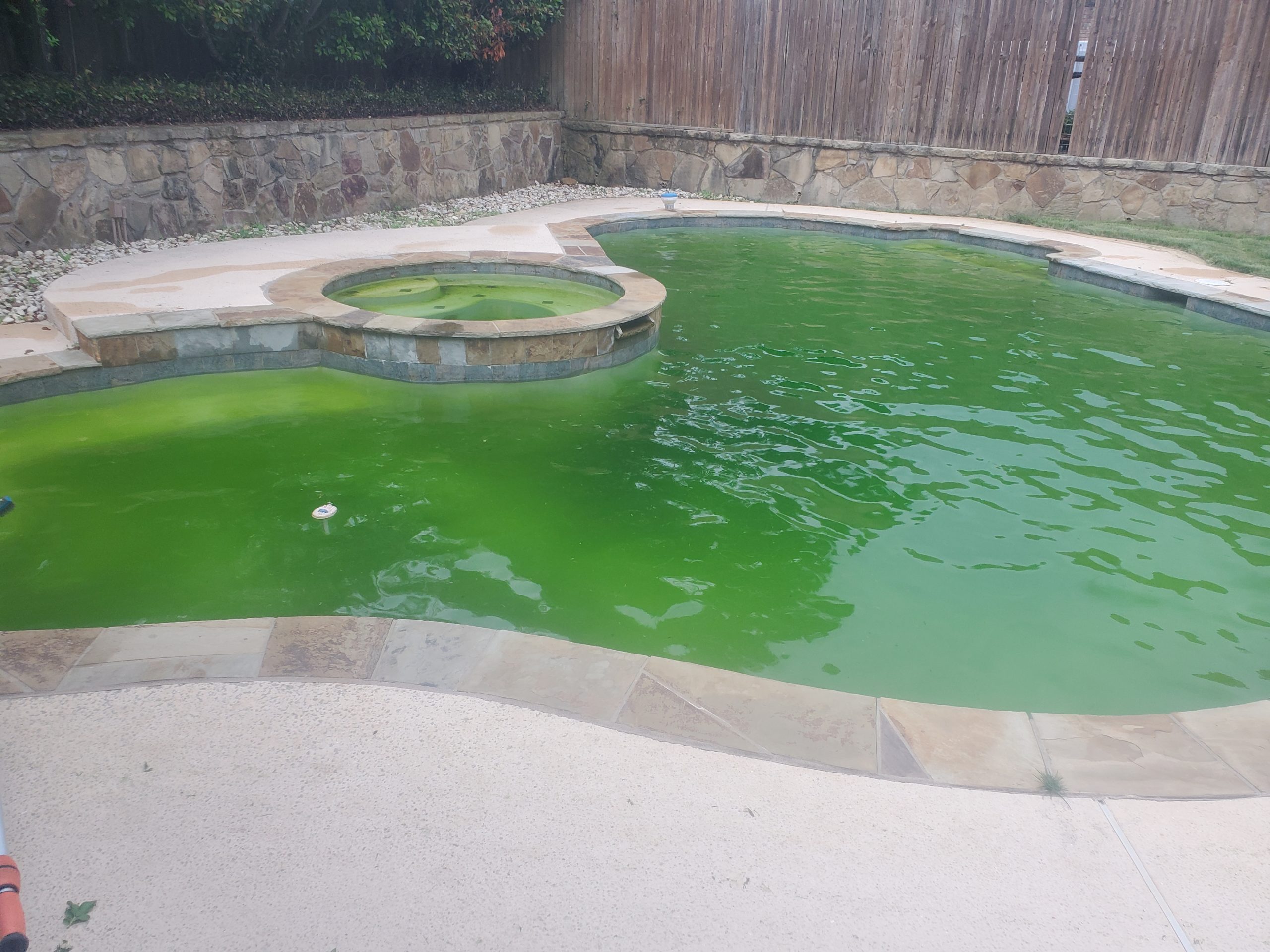 Green to Clean Pools in Carmichael: Restoring Clarity and Safety to Your Water
